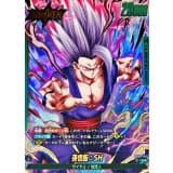 孫悟飯：SH() · L☆ · Dual Evolution · FB09-049