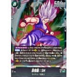 孫悟飯：SH · SR · Dual Evolution · FB09-060