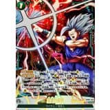 魔貫光殺砲() · SR☆ · Dual Evolution · FB09-072
