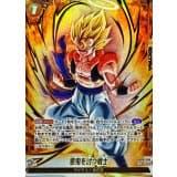 悪鬼を討つ戦士() · SR☆ · Dual Evolution · FB09-096