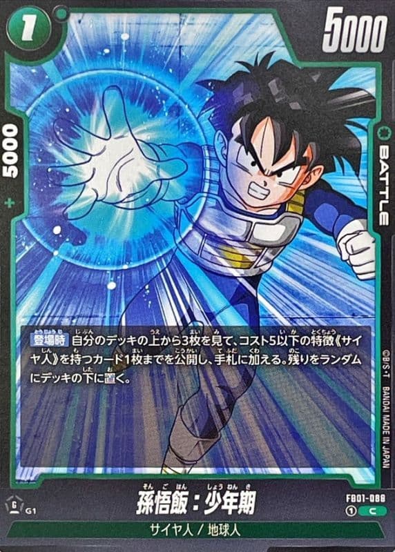 Son Gohan : Childhood