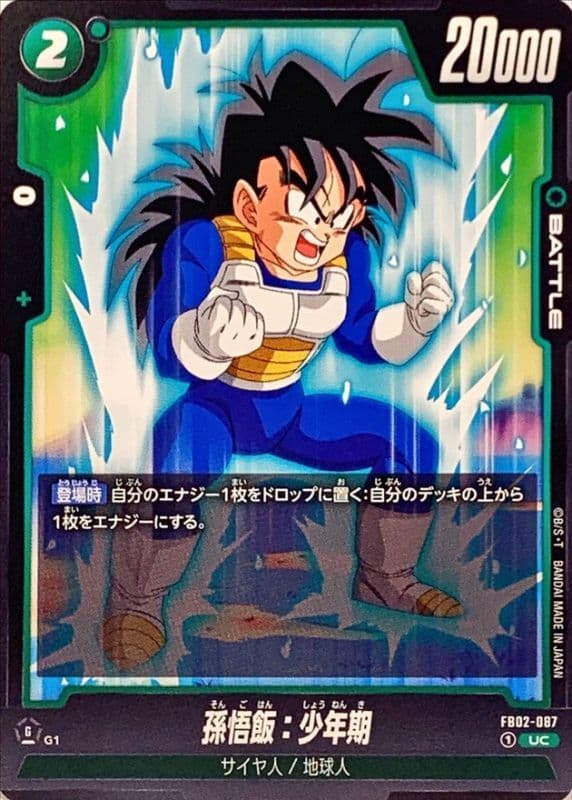 Son Gohan : Childhood