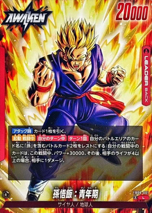 孫悟飯：青年期