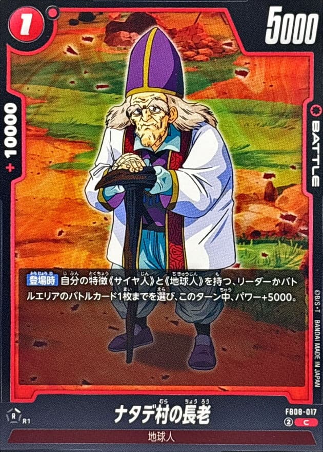 ナタデ村の長老