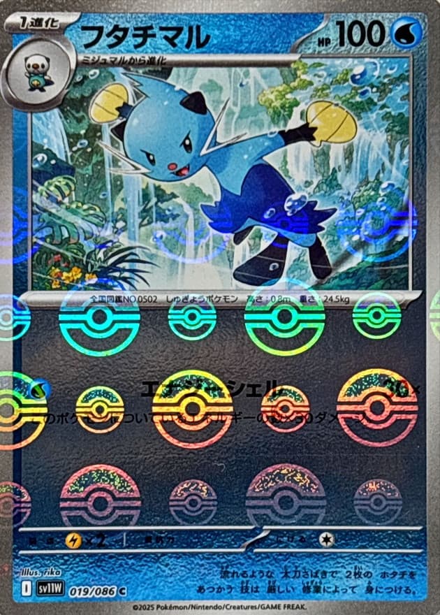 フタチマル(モンスターボール)