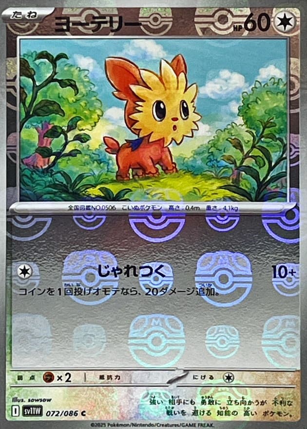 ヨーテリー(マスターボール)