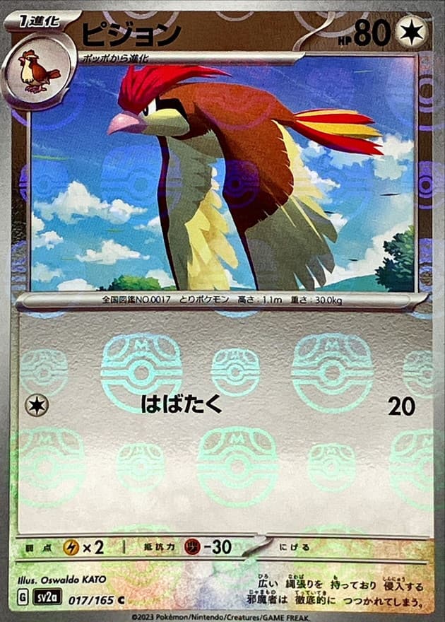 ピジョン(マスターボール)