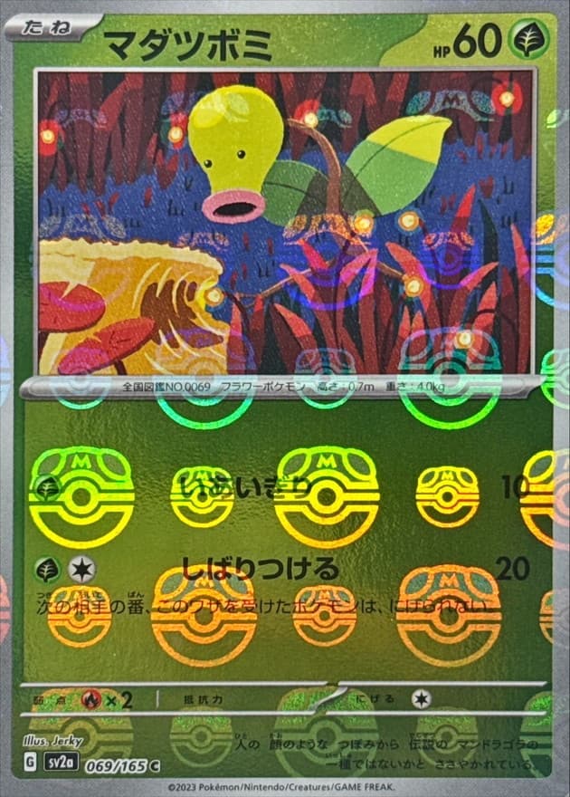 マダツボミ(マスターボール)