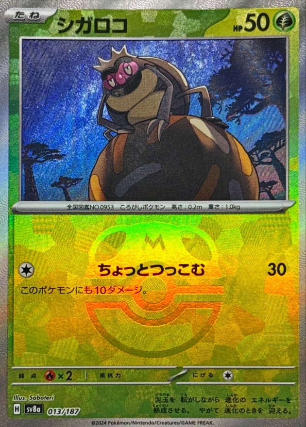 シガロコ(マスターボール)