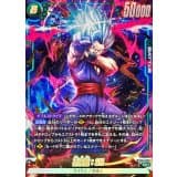 孫悟飯:SH() · SR☆ · Dual Evolution · FB09-060