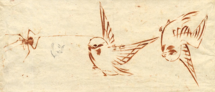 A working sketch page in red ink: quick brush studies of birds in flight and at rest, with a small spider among them